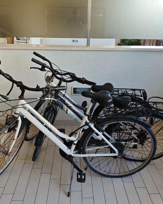 Biciclette da passeggio 