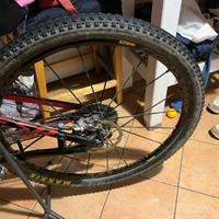 Mavic crossmax SLR
