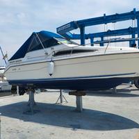 sea ray 220