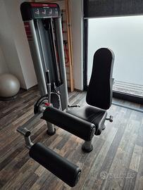 Seated Leg Curling Panatta linea Sec