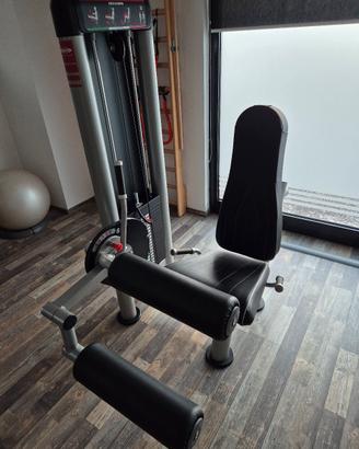 Seated Leg Curling Panatta linea Sec