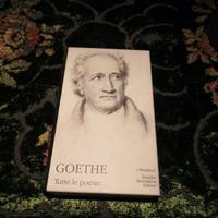 GOETHE. "tutte le poesie vol 3° Divan