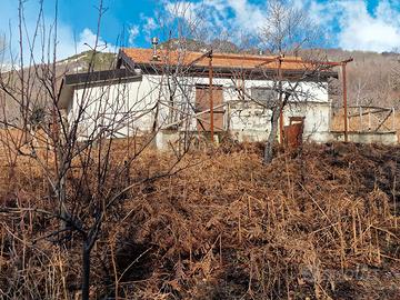 Zafferana Etnea rustico abitabile e terreno