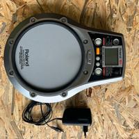 ROLAND RMP - 5 Pd Allenatore