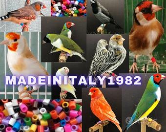 Segnacoppia segna coppia 2,8mm UCCELLI