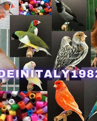 Segnacoppia segna coppia 2,8mm UCCELLI