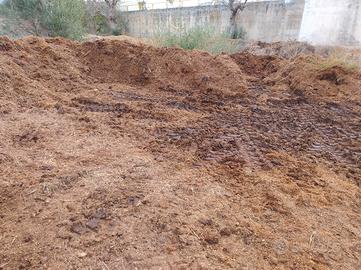 letame equino condumato