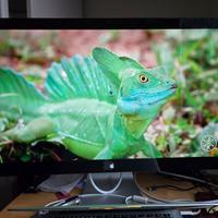 Apple Thunderbolt Display 7" 2011 Model A1407