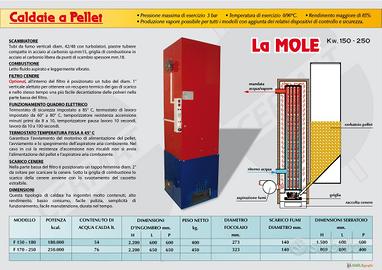 Caldaia a pellet per riscaldamento