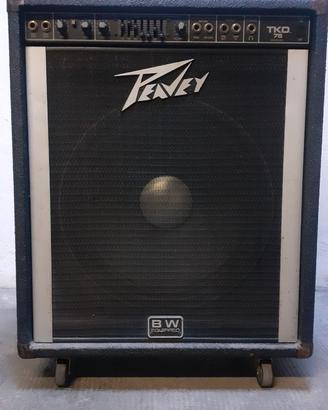 Amplificatore Peavey TKO 75