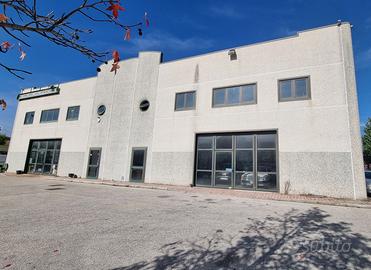 Locale artigianale-commerciale ripalimosani