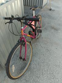 bicicletta 