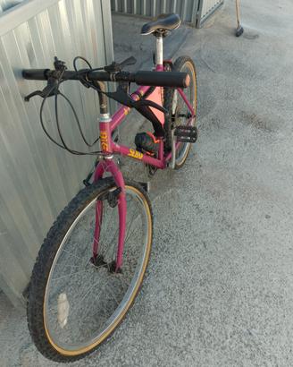 bicicletta 