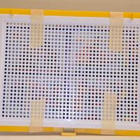 gioco di chiodini 