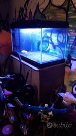 Acquario 150 L