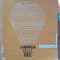 La meraviglia delle idee 2
