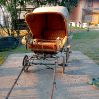 Carrozza calesse per cavallo
