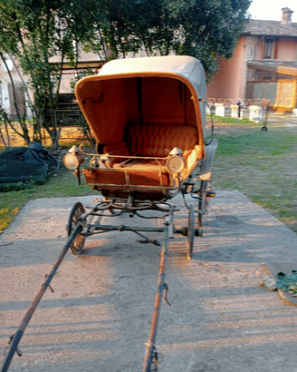 Carrozza calesse per cavallo