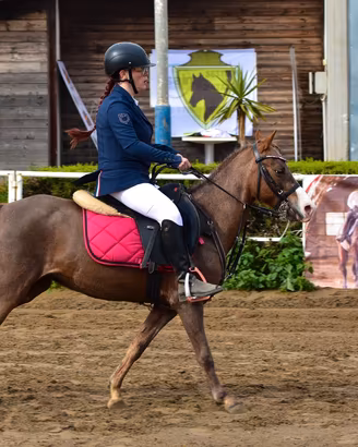 Pony da salto