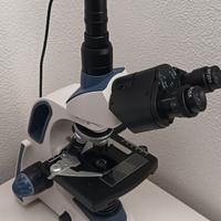 Microscopio binoculare