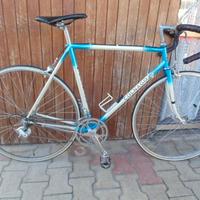 Colnago Sport 55x54 div..componenti campagnolo