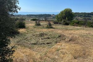 Terreno agricolo in Roseto Capo Spulico