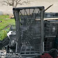 Cassette per frutta e verdura 