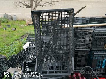 Cassette per frutta e verdura 