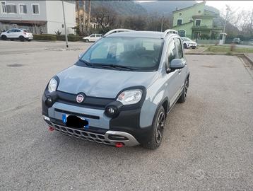 Panda Hybrid cross