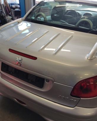 Portellone nudo PEUGEOT 206 del 2005