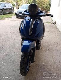 Beverly 500