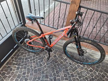 bicicletta  MTB