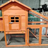 Pollaio per galline ovaiole