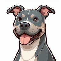 Pit Bull e French adulti da affidare