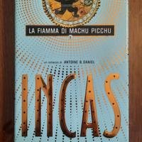 La Fiamma di Machu Picchu di Antoine B. Daniel