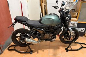 Voge  trofeo 300ac 2021