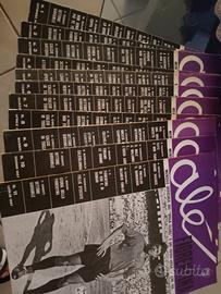 Rivista Alè fiorentina 