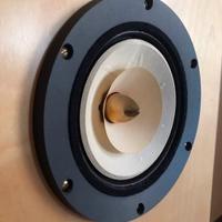 Altoparlanti  FEASTREX  NF5 FIELD COIL