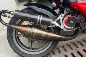 Marmitta stage6 r1400 minarelli orizzontale