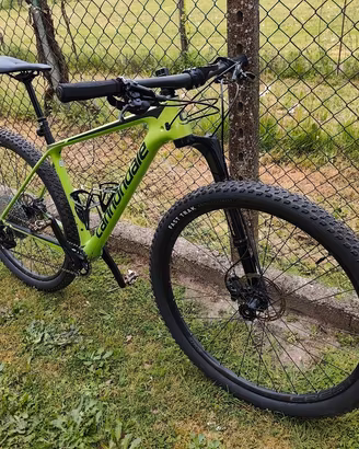 mtb 29 cannondale 