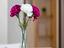 Immagine 21