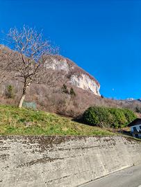 Terreno edificabile