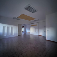 Locale Appartamento/attività commerciale