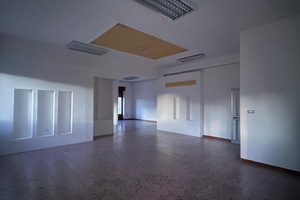 Locale Appartamento/attività commerciale