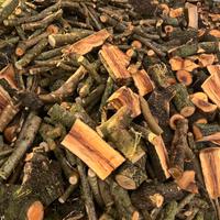 Legna da ardere -OLIVASTRO-