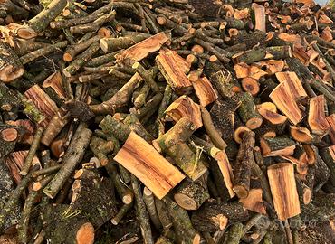 Legna da ardere -OLIVASTRO-