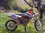 Immagine 6