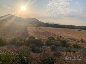 Terreno agricolo
