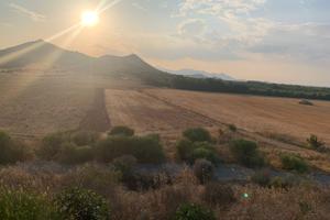 Terreno agricolo