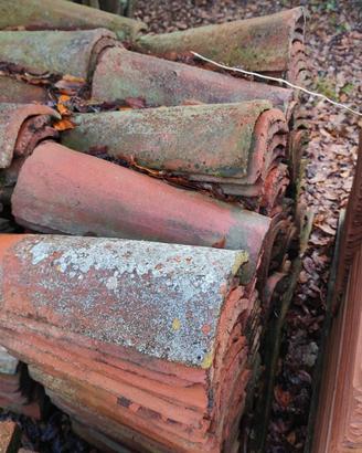 coppi piemontesi antichi